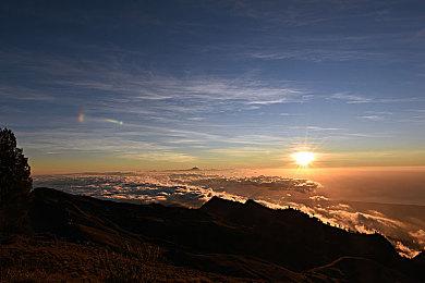 索尼公布《蜘蛛侠》《最后生还者》PC销量：都不错